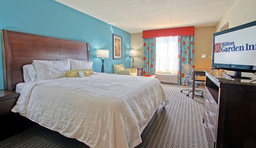 Room, 1 King Bed