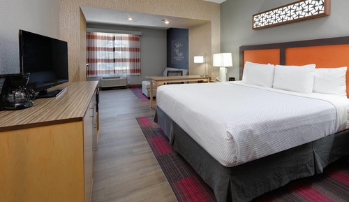 Executive Room, 1 King Bed with Sofa bed, Non Smoking