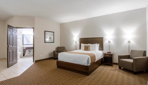 Room, 1 King Bed, Non Smoking