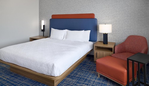 Room, 1 King Bed