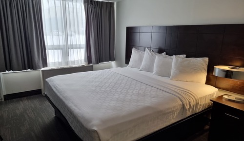 Room, 1 King Bed, Non Smoking