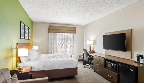 Suite, 1 King Bed with Sofa bed, Non Smoking