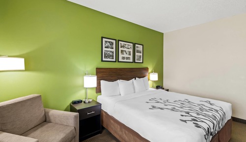 Standard Room, 1 King Bed, Non Smoking
