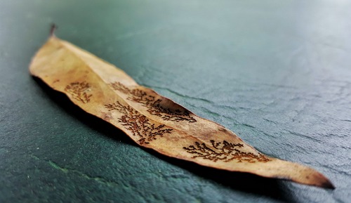 Comfort Cabin, 1 Queen Bed, Hot Tub, River View