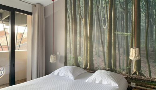 Superior Double or Twin Room