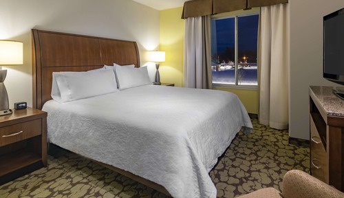 Room, 1 Bedroom, Accessible (Roll-In Shower)