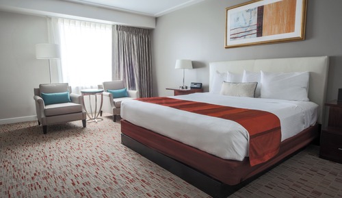 Room, 1 King Bed, Accessible