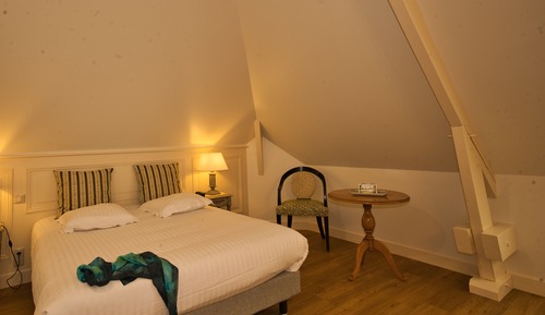 Charming Double Attic Premium Room