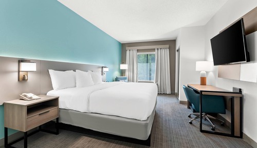 Standard Room, 1 King Bed, Non Smoking