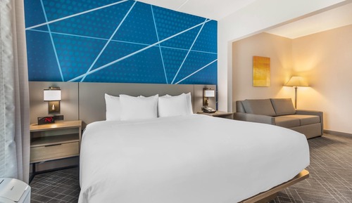 Standard Room, 1 King Bed, Non Smoking