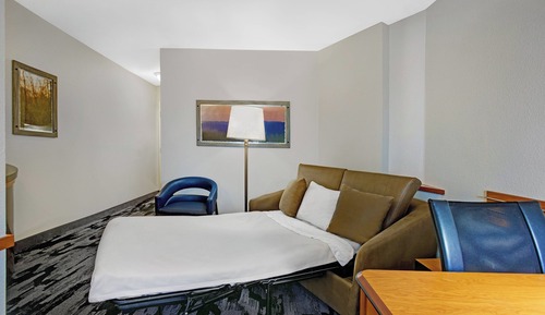 Suite, 1 King Bed with Sofa bed, Hearing Accessible