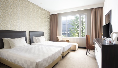 Deluxe Superior Twin Room