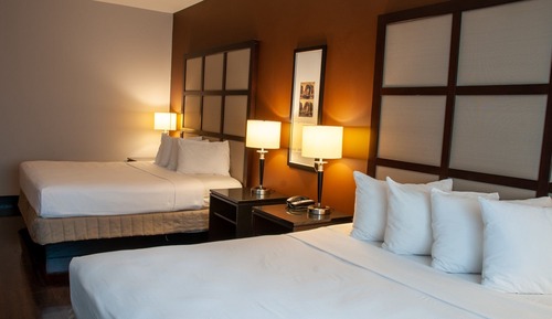 Superior Studio Suite, Multiple Beds, Kitchen