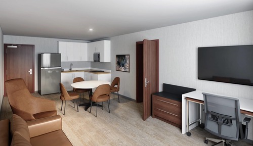 Suite, 1 King Bed with Sofa bed, Non Smoking (Efficiency)