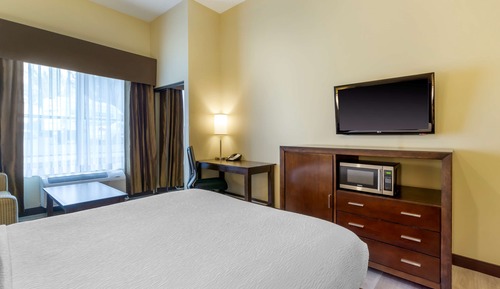 Junior Suite, 1 King Bed, Non Smoking, Refrigerator & Microwave (with Single Sofabed)