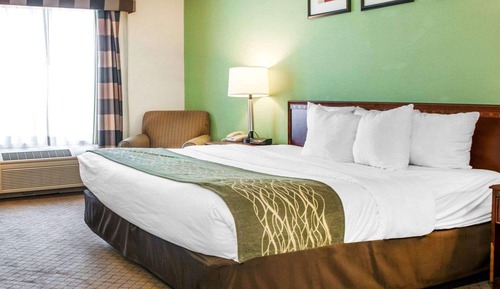 Standard Room, 1 King Bed, Non Smoking