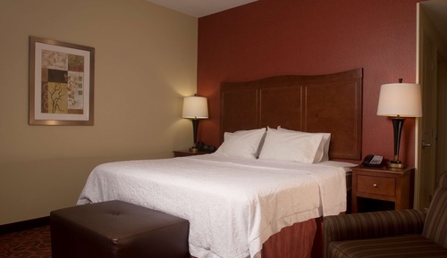 Room, 1 King Bed