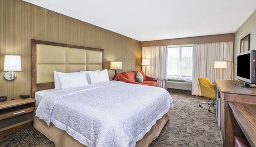 Room, 1 King Bed, Non Smoking