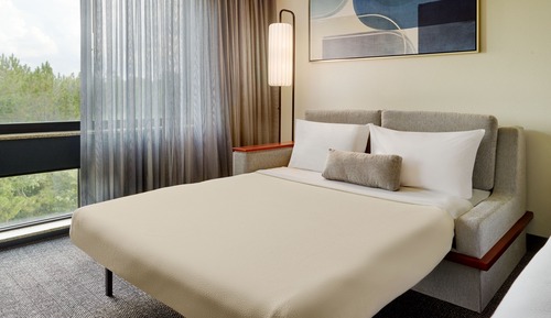 Room, 1 King Bed, Hearing Accessible (Roll-in Shower)