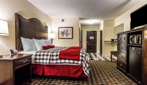 Room, 1 King Bed, Smoking