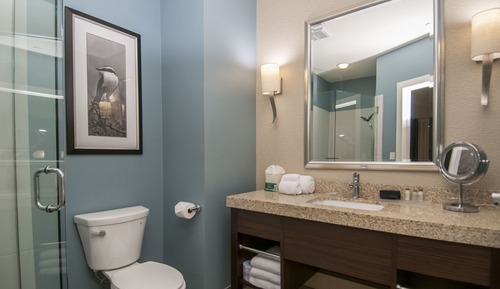 Standard Room, 1 King Bed, Accessible (Roll-In Shower)