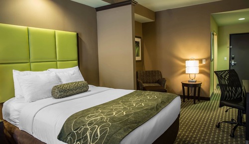 Suite, 1 King Bed with Sofa bed, Non Smoking