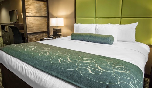 Suite, 1 King Bed with Sofa bed, Non Smoking