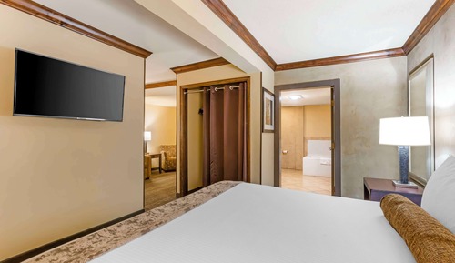 Suite, 1 King Bed, Non Smoking, Refrigerator & Microwave (with Sofabed)
