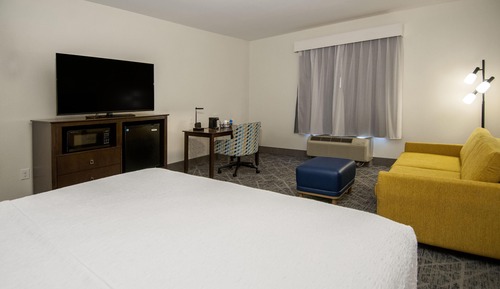 Room, 1 King Bed, Non Smoking