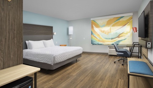 Room, 1 King Bed
