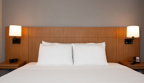 Room, 1 King Bed with Sofa bed
