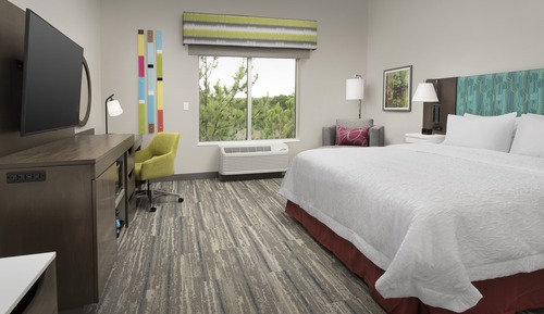 Room, 1 King Bed, Accessible (Mobility & Hearing, Roll-In Shower)