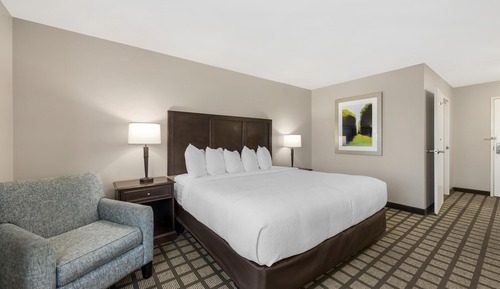 Standard Room, 1 King Bed, Accessible, Refrigerator & Microwave