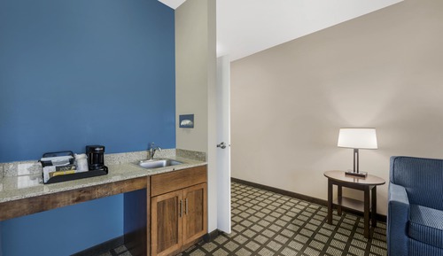 Suite, 1 King Bed, Accessible, Refrigerator & Microwave (with Sofabed)
