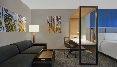 Room, 1 King Bed with Sofa bed