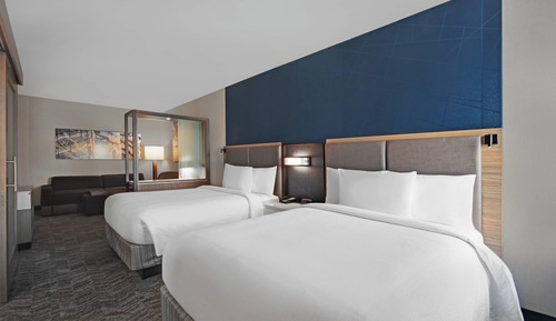 Room, Multiple Beds