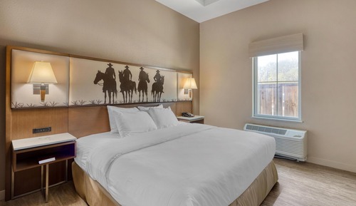 Suite, 1 King Bed, Accessible, Refrigerator & Microwave (with Sofabed)