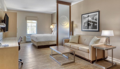 Suite, 1 King Bed, Non Smoking, Refrigerator & Microwave (Shower Only;with Sofabed)