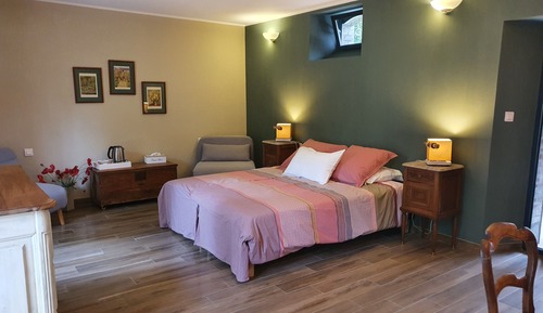 Comfort Double or Twin Room, Accessible, Terrace (Fleurs des champs)