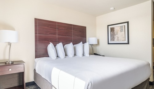 Room, 1 King Bed, Non Smoking