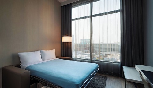 Room, 1 King Bed with Sofa bed