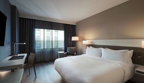 Room, 1 King Bed, Hearing Accessible (Accessible Bathtub)