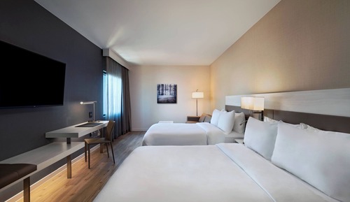 Room, Multiple Beds