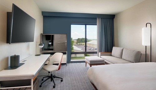 Standard Room, 1 King Bed with Sofa bed
