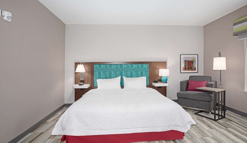 Room, 1 King Bed with Sofa bed, Accessible, Bathtub (Refrigerator)