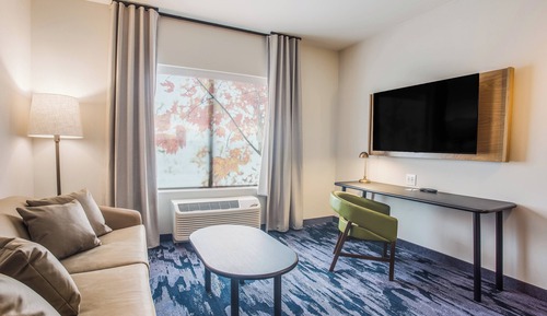 Suite, 1 King Bed with Sofa bed