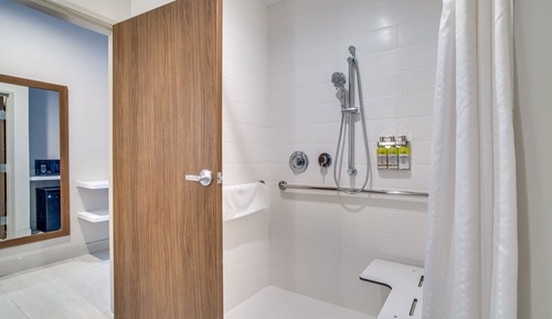 Standard Room, 1 King Bed, Accessible (Communications, Roll-In Shower)