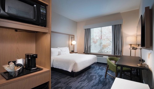 Room, 1 King Bed