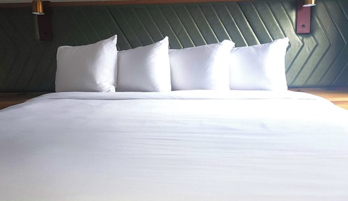 Upper Lodge Suite - King Bed w/ Sofabed