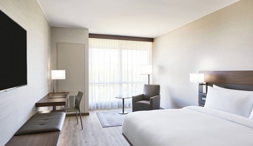 Room, 1 King Bed, Mountain View